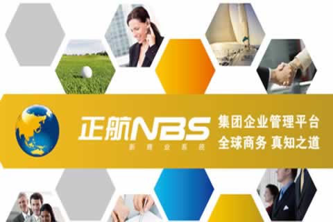 集团企业应用-NBS