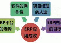 ERP软件应用成败的几个因素